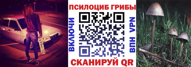 Псилоцибиновые грибы GOLDEN TEACHER  Яблоновский 